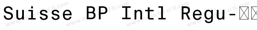 Suisse BP Intl Regu字体转换